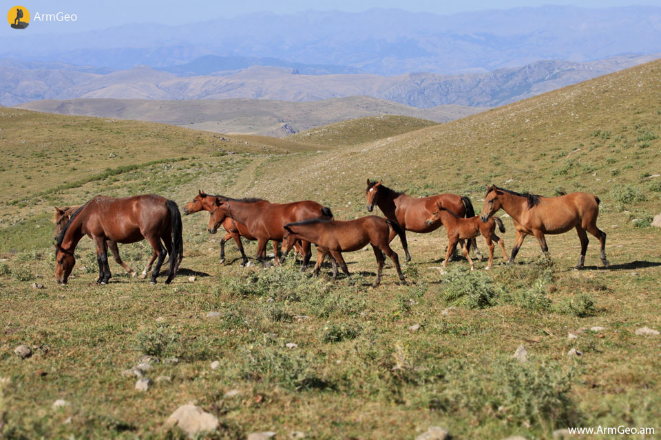 Mount Greater Ishkhanasar - Armenian Geographic